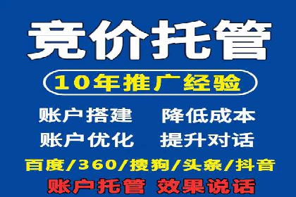 SEO百度推广策略：成功案例解析